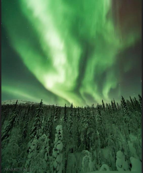 Cozy Near Santa Village W Free Parking * Rovaniemi
